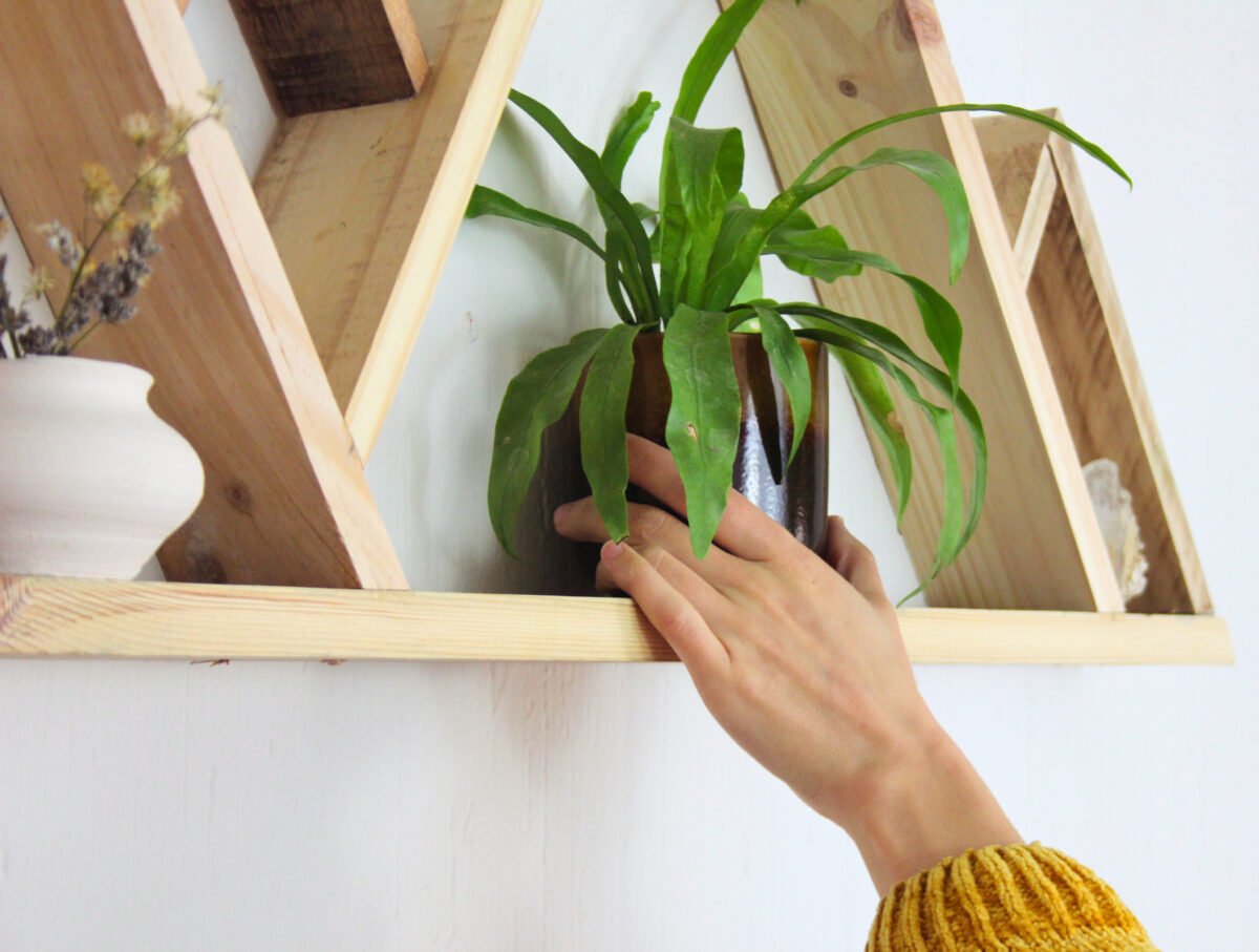 A hand placing a plant pot on a wooden shelf. Shelf has shape of mountains, with various compartments