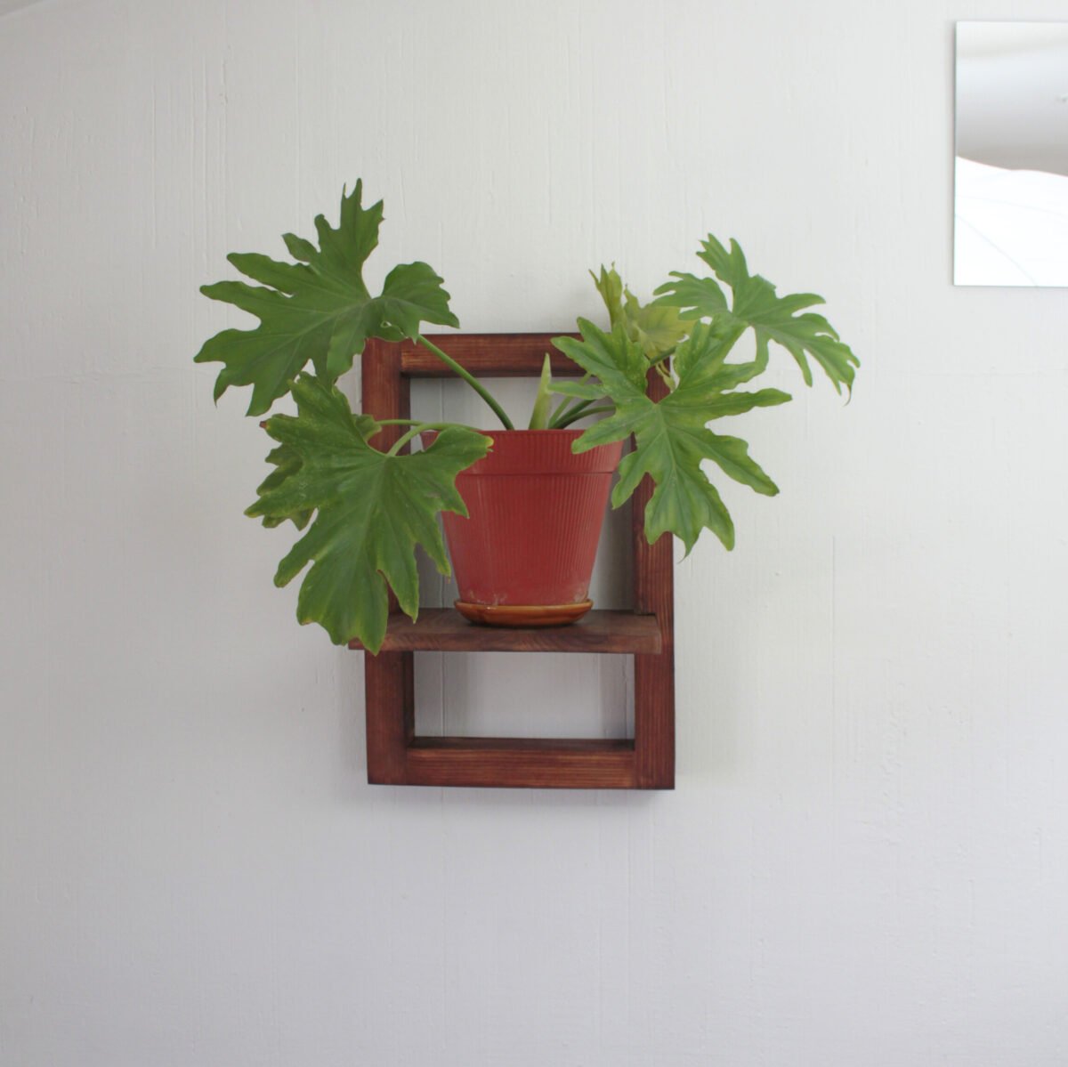 Reclaimed wood frame with shelf, plant shelf, floating shelves